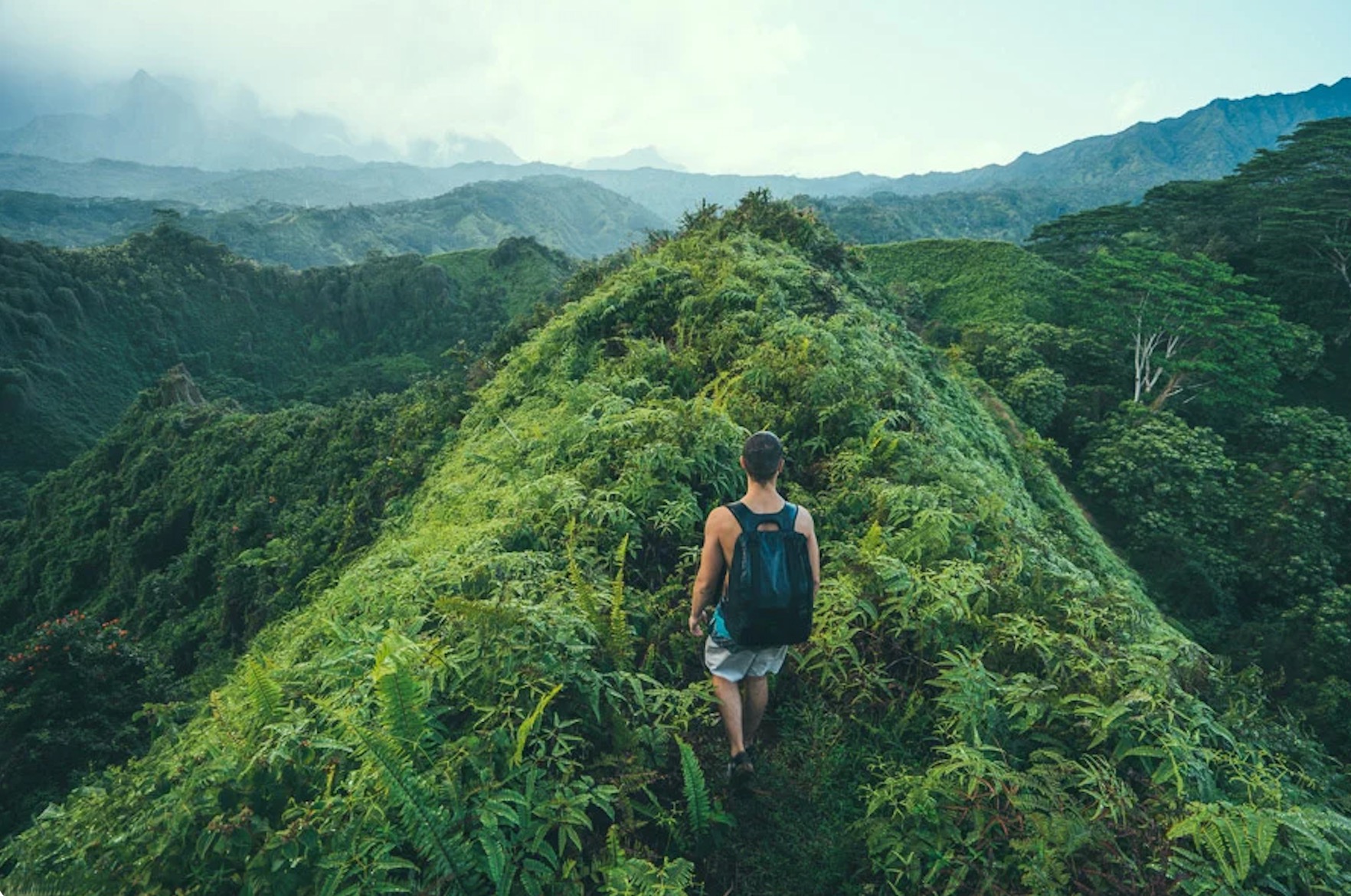 Ridge & jungle hikes